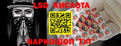 амф Новодвинск