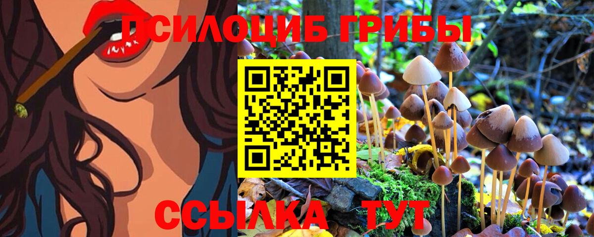 Псилоцибиновые грибы прущие грибы Серов